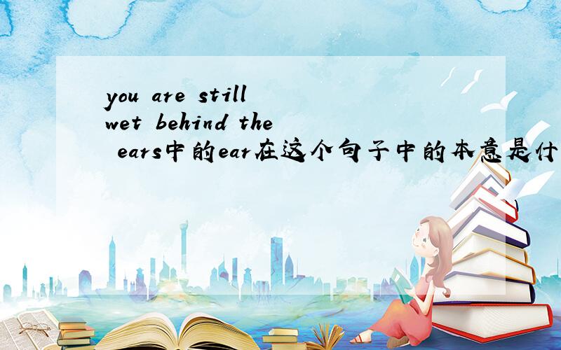 you are still wet behind the ears中的ear在这个句子中的本意是什么?不应该是耳朵吧?