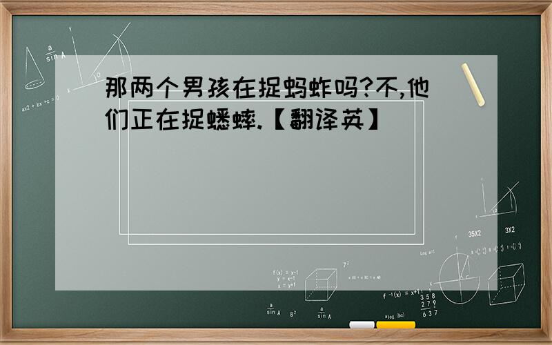 那两个男孩在捉蚂蚱吗?不,他们正在捉蟋蟀.【翻译英】