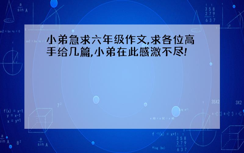 小弟急求六年级作文,求各位高手给几篇,小弟在此感激不尽!