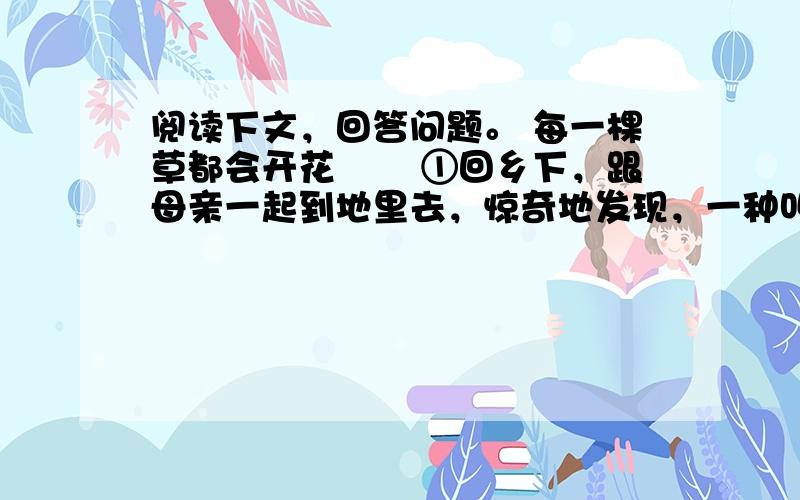 阅读下文，回答问题。 每一棵草都会开花 　　①回乡下，跟母亲一起到地里去，惊奇地发现，一种叫牛耳朵的草，开了细小的黄花。