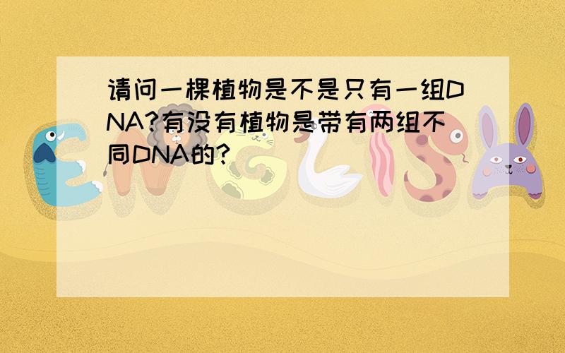 请问一棵植物是不是只有一组DNA?有没有植物是带有两组不同DNA的?