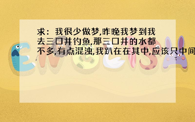 求：我很少做梦,昨晚我梦到我去三口井钓鱼,那三口井的水都不多,有点混浊,我趴在在其中,应该只中间的井边,俯身放下鱼竿,钩