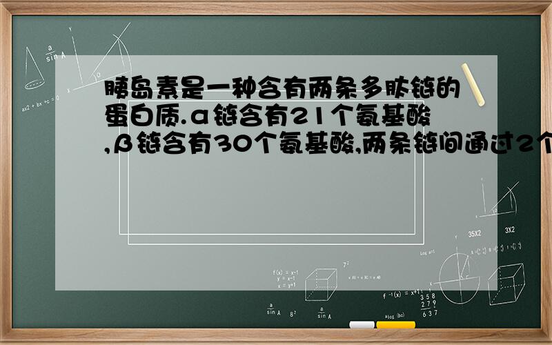 胰岛素是一种含有两条多肽链的蛋白质.α链含有21个氨基酸,β链含有30个氨基酸,两条链间通过2个二硫键(-S-S-)连接