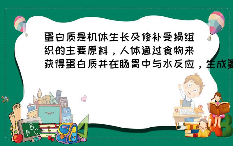 蛋白质是机体生长及修补受损组织的主要原料，人体通过食物来获得蛋白质并在肠胃中与水反应，生成氨基酸。奶粉中蛋白质含