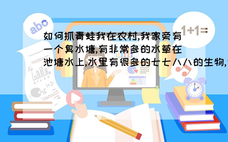 如何抓青蛙我在农村,我家旁有一个臭水塘,有非常多的水草在池塘水上,水里有很多的七七八八的生物,也有蛙（田鸡和其他蛙类）请