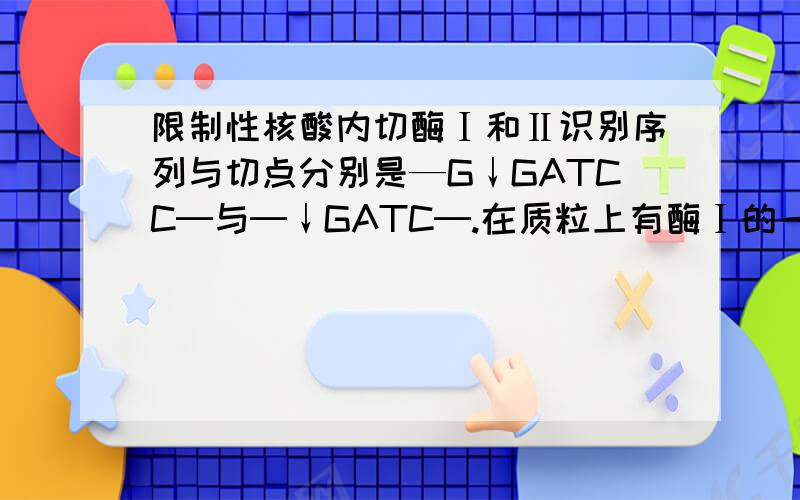 限制性核酸内切酶Ⅰ和Ⅱ识别序列与切点分别是—G↓GATCC─与─↓GATC─.在质粒上有酶Ⅰ的一个切点,在目的基因的两侧