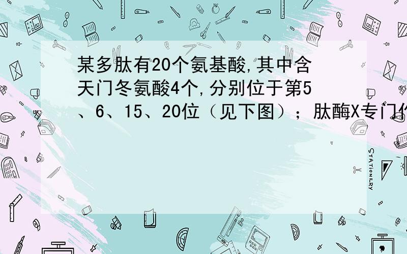 某多肽有20个氨基酸,其中含天门冬氨酸4个,分别位于第5、6、15、20位（见下图）；肽酶X专门作用于天门冬氨酸羧基端的