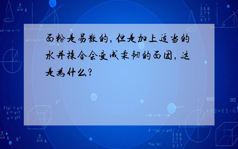 面粉是易散的，但是加上适当的水并揉合会变成柔韧的面团，这是为什么？