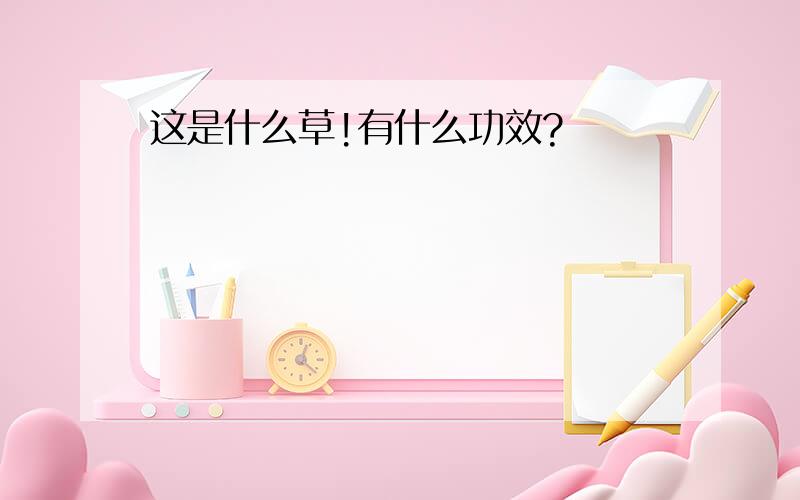 这是什么草!有什么功效?