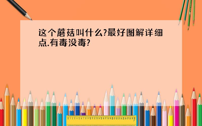 这个蘑菇叫什么?最好图解详细点.有毒没毒?