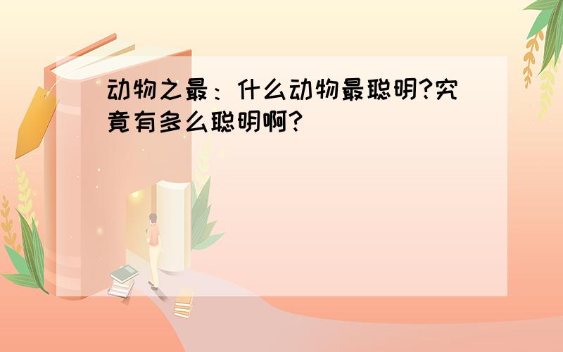 动物之最：什么动物最聪明?究竟有多么聪明啊?