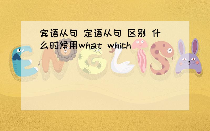 宾语从句 定语从句 区别 什么时候用what which