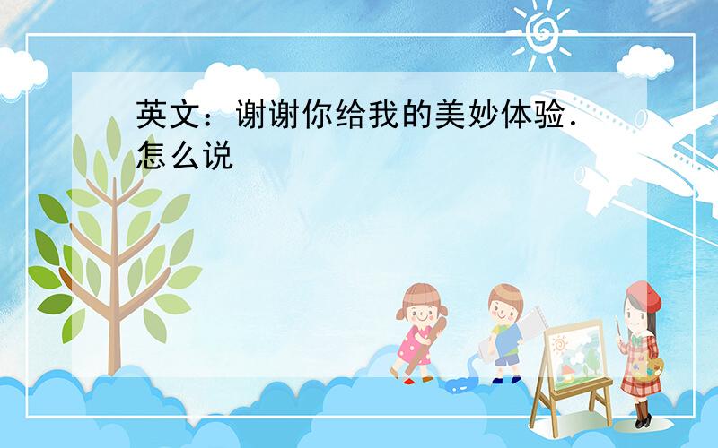 英文：谢谢你给我的美妙体验．怎么说