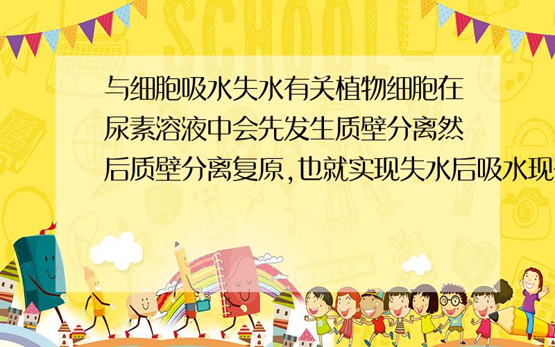 与细胞吸水失水有关植物细胞在尿素溶液中会先发生质壁分离然后质壁分离复原,也就实现失水后吸水现在提一个问题,在U形管底用一