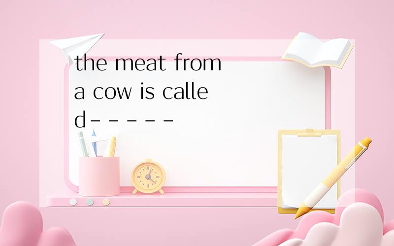 the meat from a cow is called-----