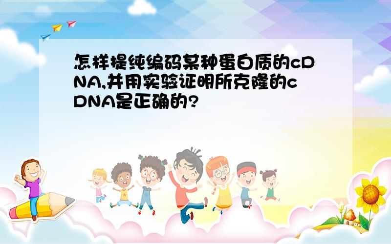 怎样提纯编码某种蛋白质的cDNA,并用实验证明所克隆的cDNA是正确的?