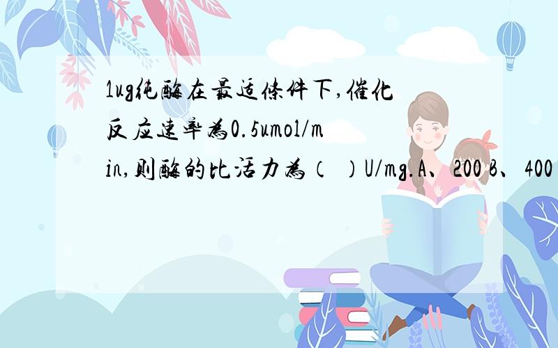 1ug纯酶在最适条件下,催化反应速率为0.5umol/min,则酶的比活力为（ ）U/mg.A、200 B、400 C、