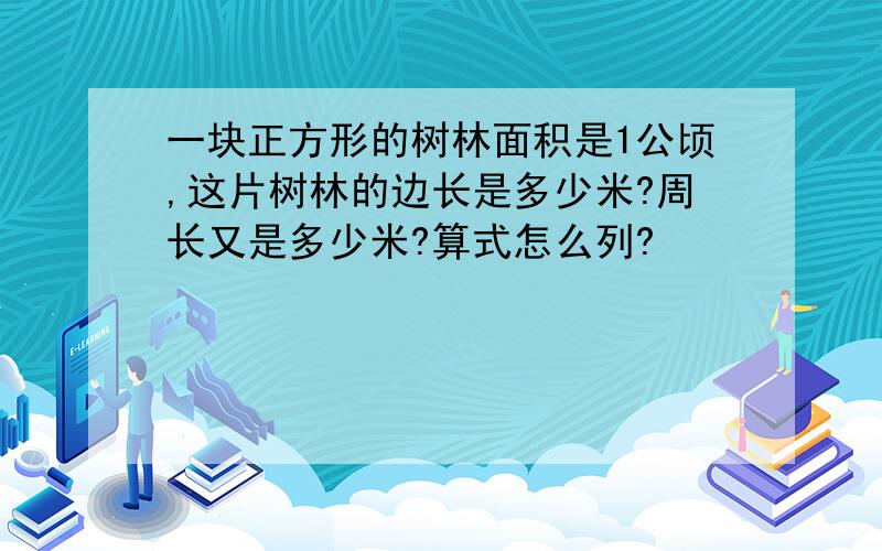 一块正方形的树林面积是1公顷,这片树林的边长是多少米?周长又是多少米?算式怎么列?