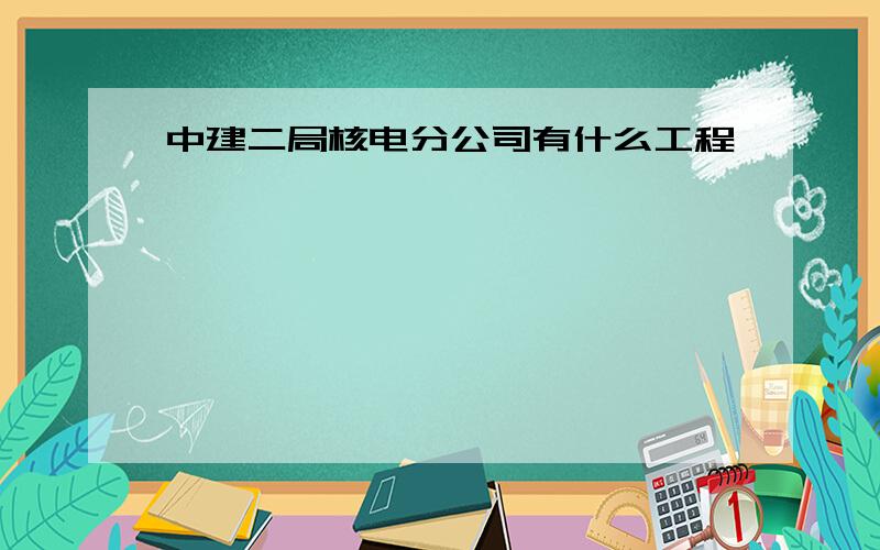 中建二局核电分公司有什么工程