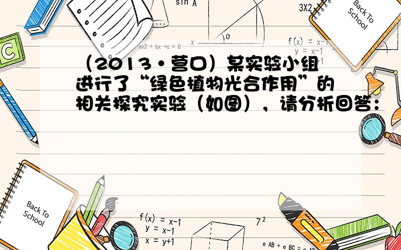 （2013•营口）某实验小组进行了“绿色植物光合作用”的相关探究实验（如图），请分析回答：