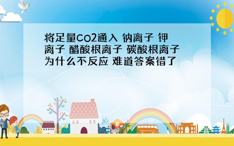 将足量CO2通入 钠离子 钾离子 醋酸根离子 碳酸根离子为什么不反应 难道答案错了