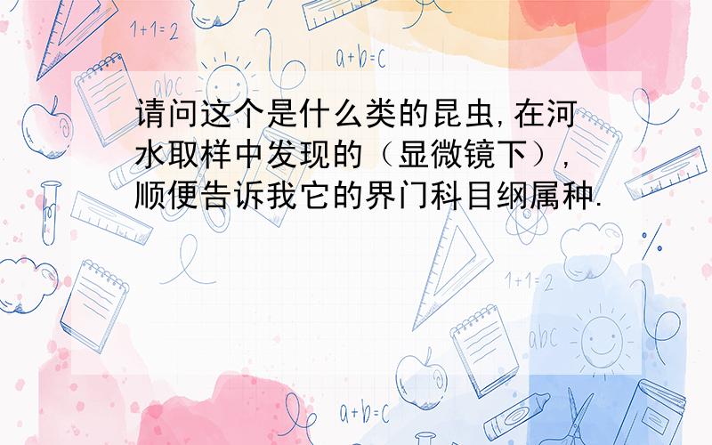 请问这个是什么类的昆虫,在河水取样中发现的（显微镜下）,顺便告诉我它的界门科目纲属种.