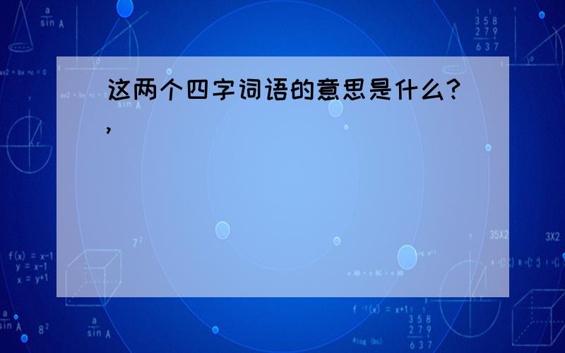 这两个四字词语的意思是什么?,