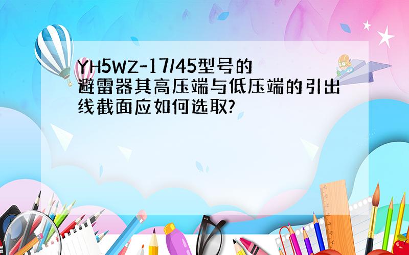 YH5WZ-17/45型号的避雷器其高压端与低压端的引出线截面应如何选取?