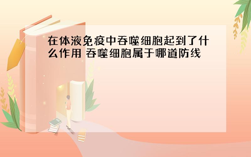 在体液免疫中吞噬细胞起到了什么作用 吞噬细胞属于哪道防线