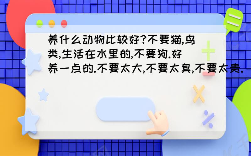 养什么动物比较好?不要猫,鸟类,生活在水里的,不要狗.好养一点的.不要太大,不要太臭,不要太贵.