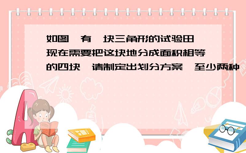 如图,有一块三角形的试验田,现在需要把这块地分成面积相等的四块,请制定出划分方案,至少两种