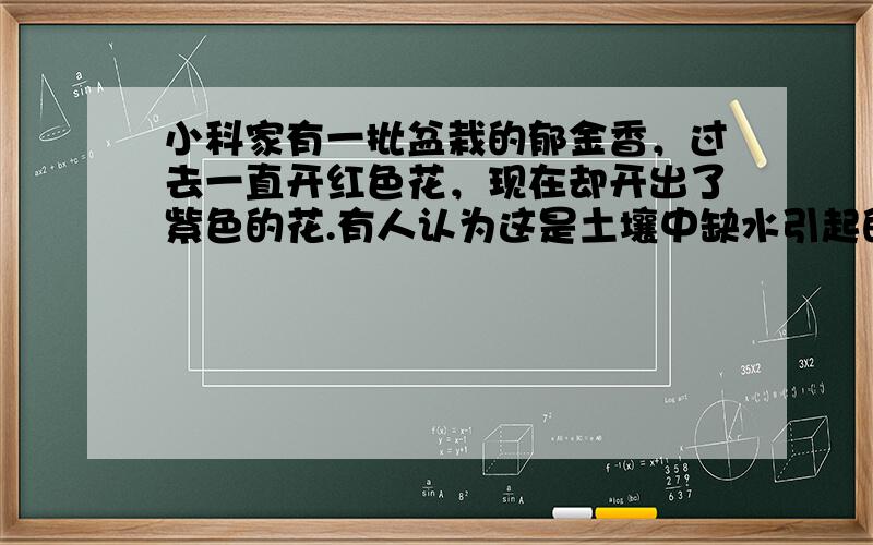 小科家有一批盆栽的郁金香，过去一直开红色花，现在却开出了紫色的花.有人认为这是土壤中缺水引起的，但小科经过一段时间补充水