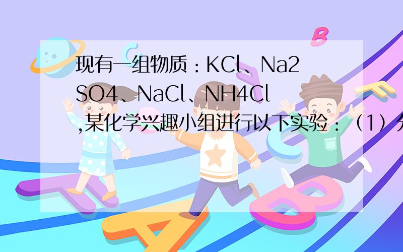 现有一组物质：KCl、Na2SO4、NaCl、NH4Cl,某化学兴趣小组进行以下实验：（1）分别取少量上述溶液于4支试