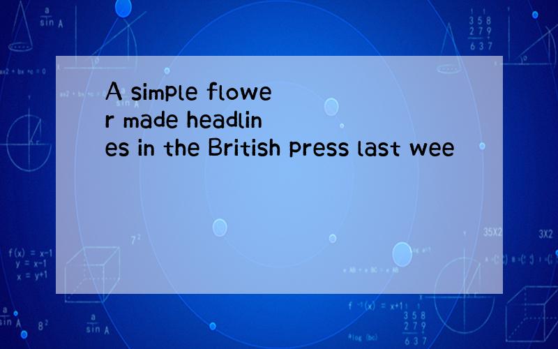 A simple flower made headlines in the British press last wee