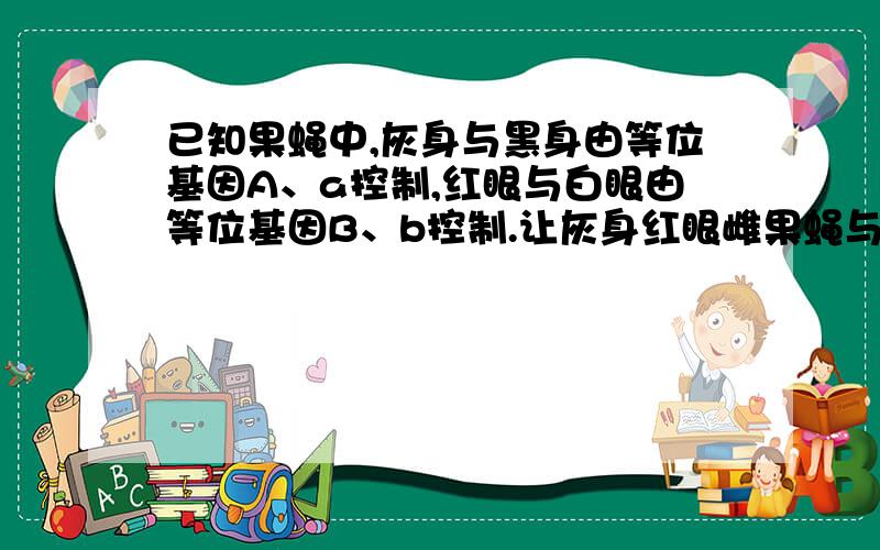 已知果蝇中,灰身与黑身由等位基因A、a控制,红眼与白眼由等位基因B、b控制.让灰身红眼雌果蝇与黑身白眼雄果蝇作亲本进行杂