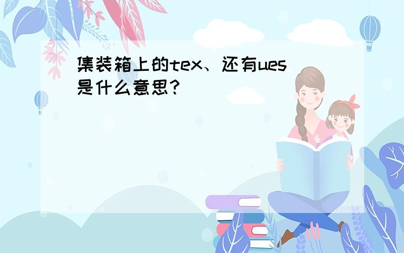 集装箱上的tex、还有ues是什么意思?