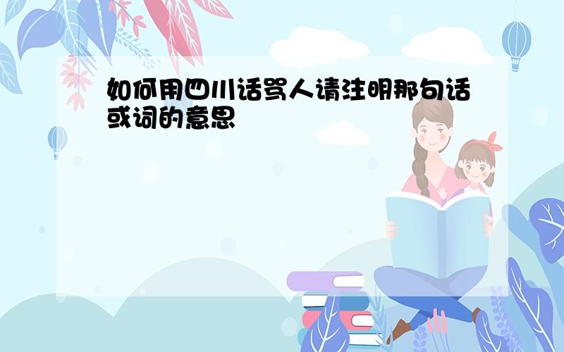 如何用四川话骂人请注明那句话或词的意思