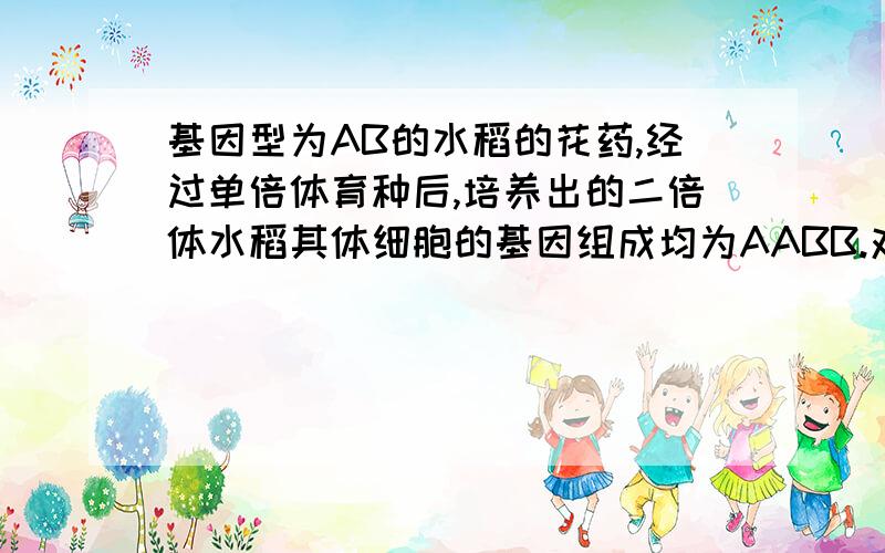 基因型为AB的水稻的花药,经过单倍体育种后,培养出的二倍体水稻其体细胞的基因组成均为AABB.对吗?详细解释一下为什么