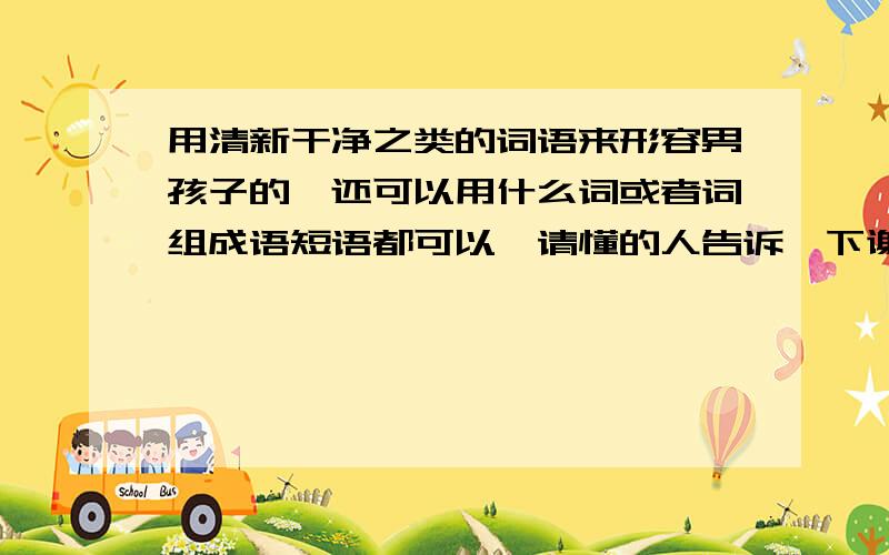 用清新干净之类的词语来形容男孩子的、还可以用什么词或者词组成语短语都可以、请懂的人告诉一下谢谢了