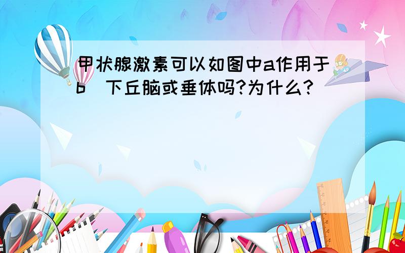 甲状腺激素可以如图中a作用于b(下丘脑或垂体吗?为什么?