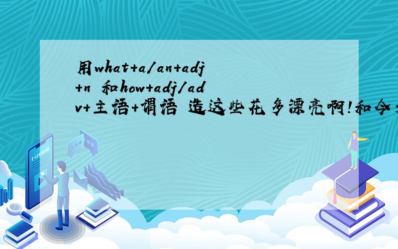 用what+a/an+adj+n 和how+adj/adv+主语+谓语 造这些花多漂亮啊!和今天的天气真好啊!