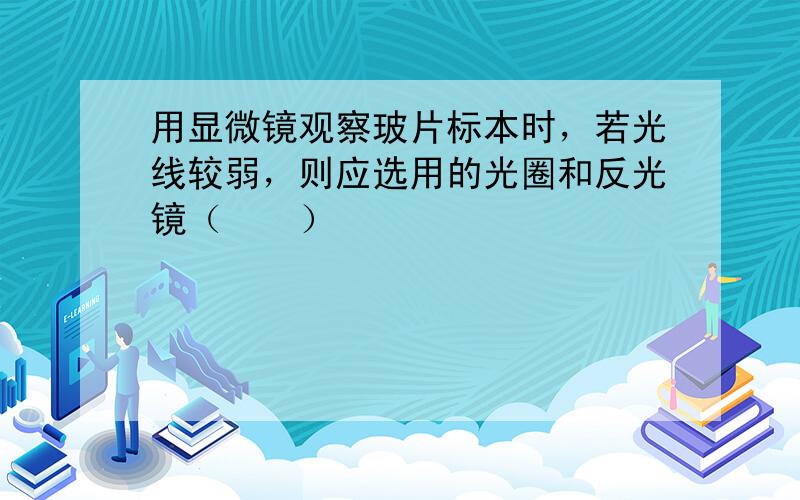 用显微镜观察玻片标本时，若光线较弱，则应选用的光圈和反光镜（　　）