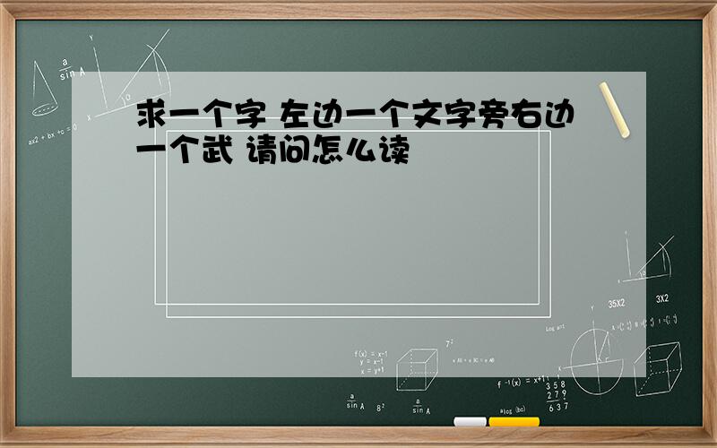 求一个字 左边一个文字旁右边一个武 请问怎么读