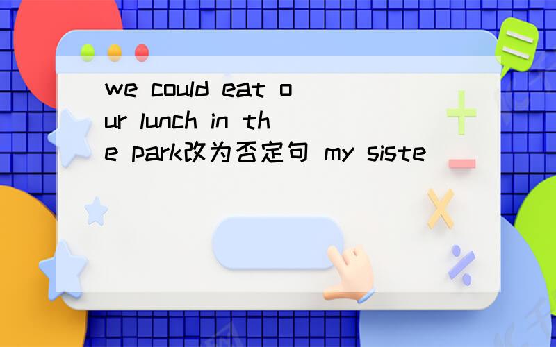 we could eat our lunch in the park改为否定句 my siste