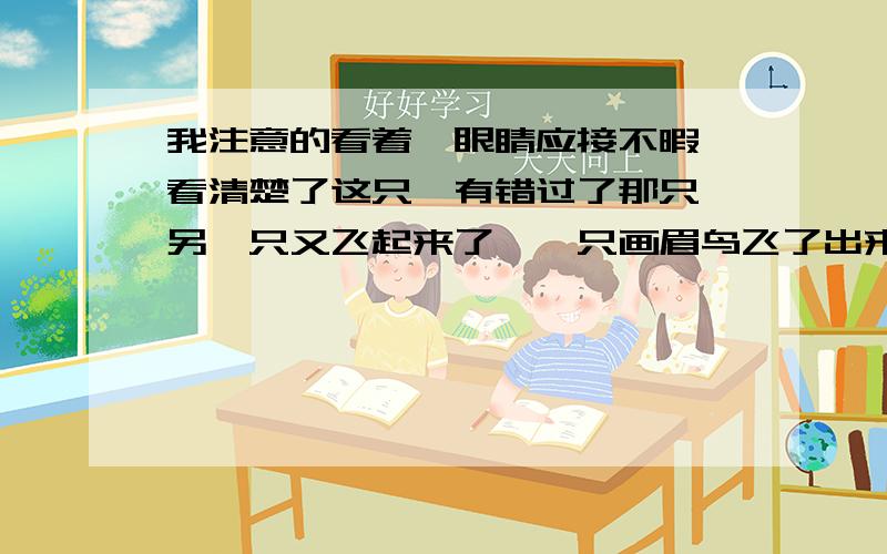 我注意的看着,眼睛应接不暇,看清楚了这只,有错过了那只,另一只又飞起来了,一只画眉鸟飞了出来,被我们的掌声一吓,又飞进了