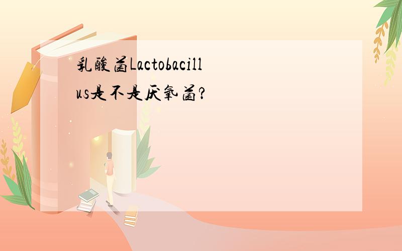 乳酸菌Lactobacillus是不是厌氧菌?