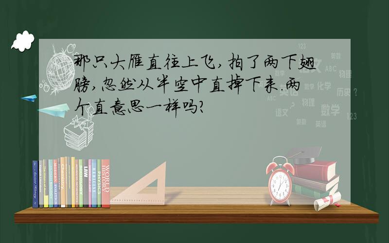 那只大雁直往上飞,拍了两下翅膀,忽然从半空中直掉下来.两个直意思一样吗?