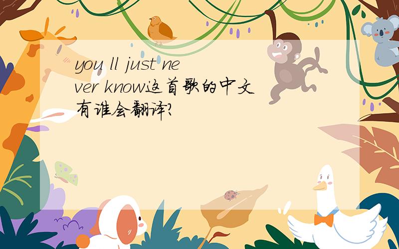 you ll just never know这首歌的中文有谁会翻译?