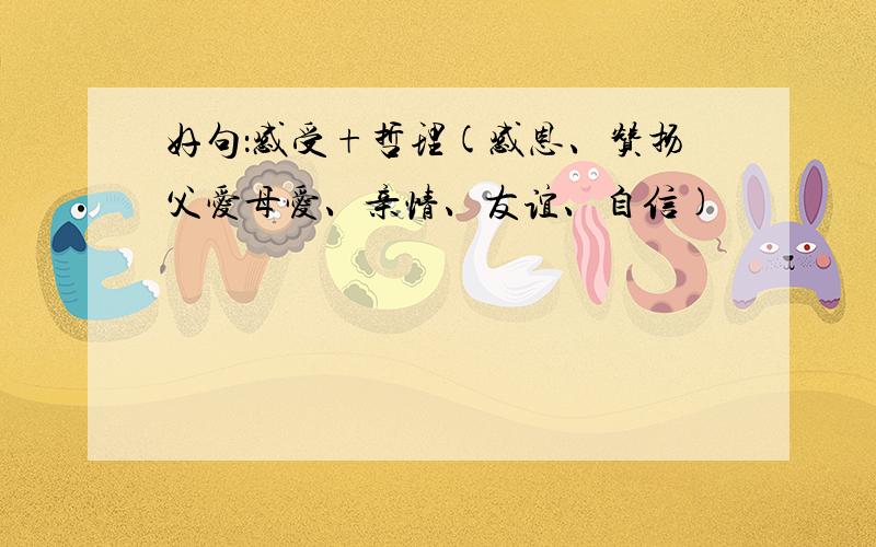 好句：感受+哲理(感恩、赞扬父爱母爱、亲情、友谊、自信)