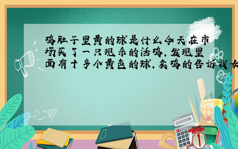 鸡肚子里黄的球是什么今天在市场买了一只现杀的活鸡,发现里面有十多个黄色的球,卖鸡的告诉我女的最好不要吃,那是什么东东?有